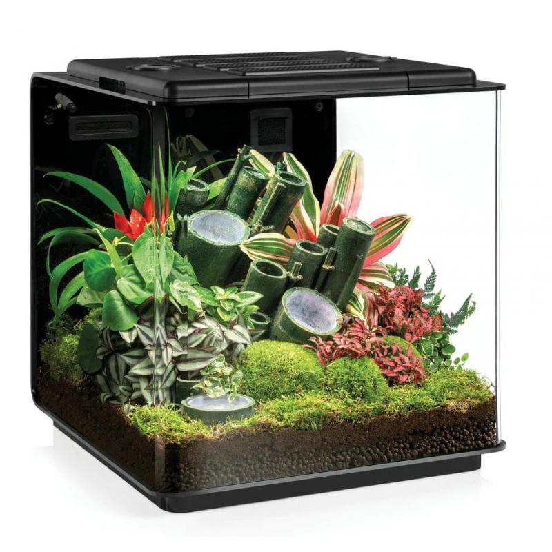 Terrarium complet prêt à l'emploi "Biorb earth 125" Oase REPTILIS