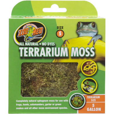 Mousse de forêt "Terrarium moss" de Zoomed