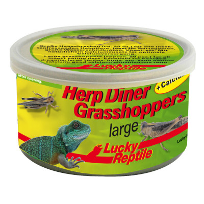 Sauterelles en conserve "Herp diner grasshoppers" de Lucky reptile