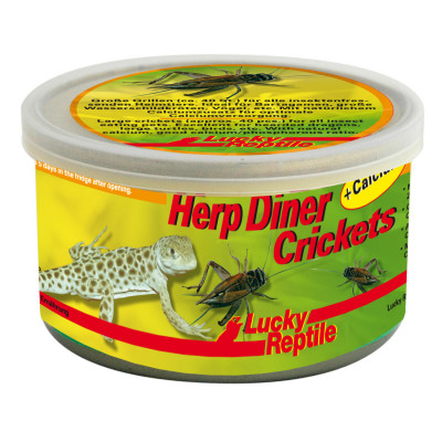 Grillons en conserve "Herp diner crickets large" de Lucky reptile