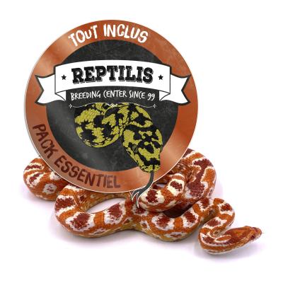 PACK ESSENTIEL - Pantherophis guttatus adulte