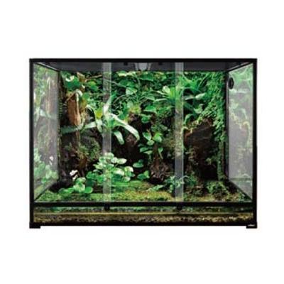 Terrariums de 60 cm de profondeur en verre démontable avec cuve étanche Reptizoo