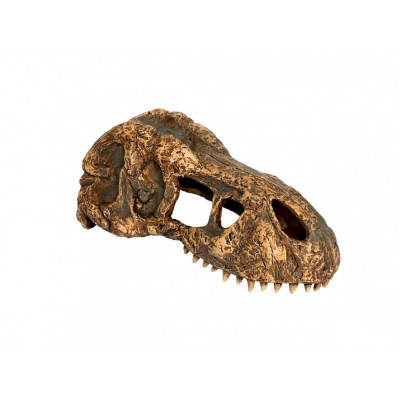 Cachette crâne T-Rex Exo Terra