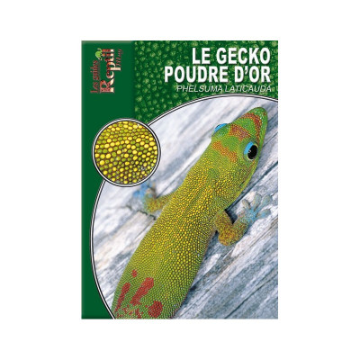 Le gecko poussière d'or - Phelsuma laticauda - Les guides Reptilmag