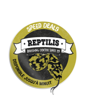 Speed Deals du 2 mars 2025 - REPTILIS