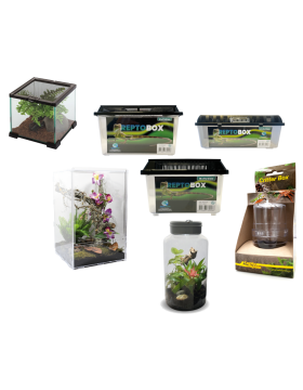 Petits terrariums en verre, plastique ou acrylique, boîtes de transports