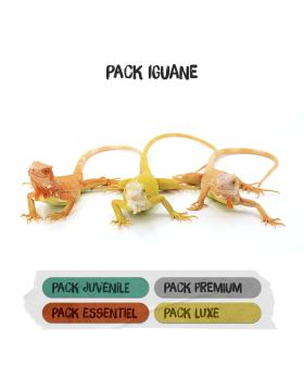 Packs terrariums pour iguana iguana juvéniles